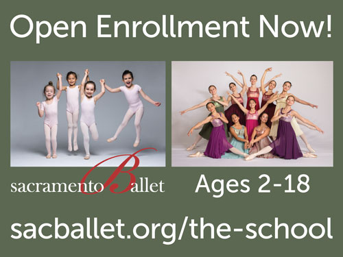 image:The School of Sacramento Ballet Summer Promotions 2019 Lawn Sign Front (24x18 inch)