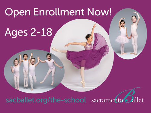 image:The School of Sacramento Ballet Summer Promotions 2019 Lawn Sign Back (24x18 inch)