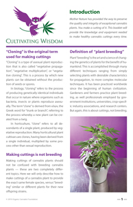 image: Cultivating Wisdom: How To Make Cannabis Cuttings Introduction