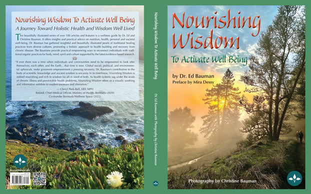 image: Nourishing Wisdom To Activate Well Being Cover