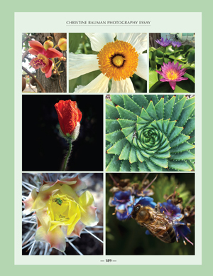 image: Nourishing Wisdom Exquisite Nature Photos