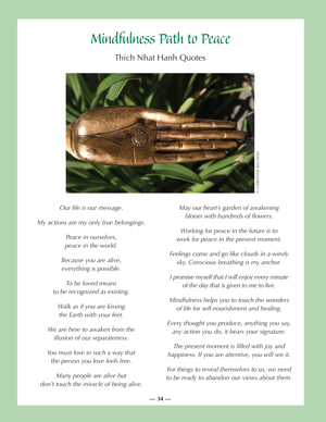 image: Nourishing Wisdom Mindfulness Path