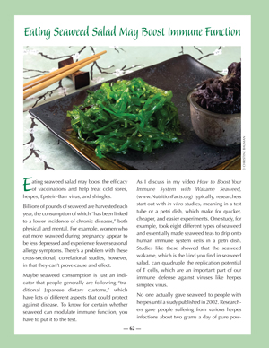 image: Nourishing Wisdom Seaweed Salad Article