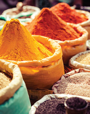 image: Spice for Life Turmeric Chapter Opener