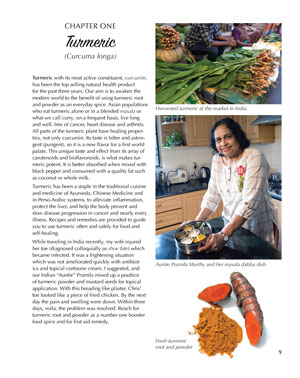 image: Spice for Life Turmeric Chapter Opener
