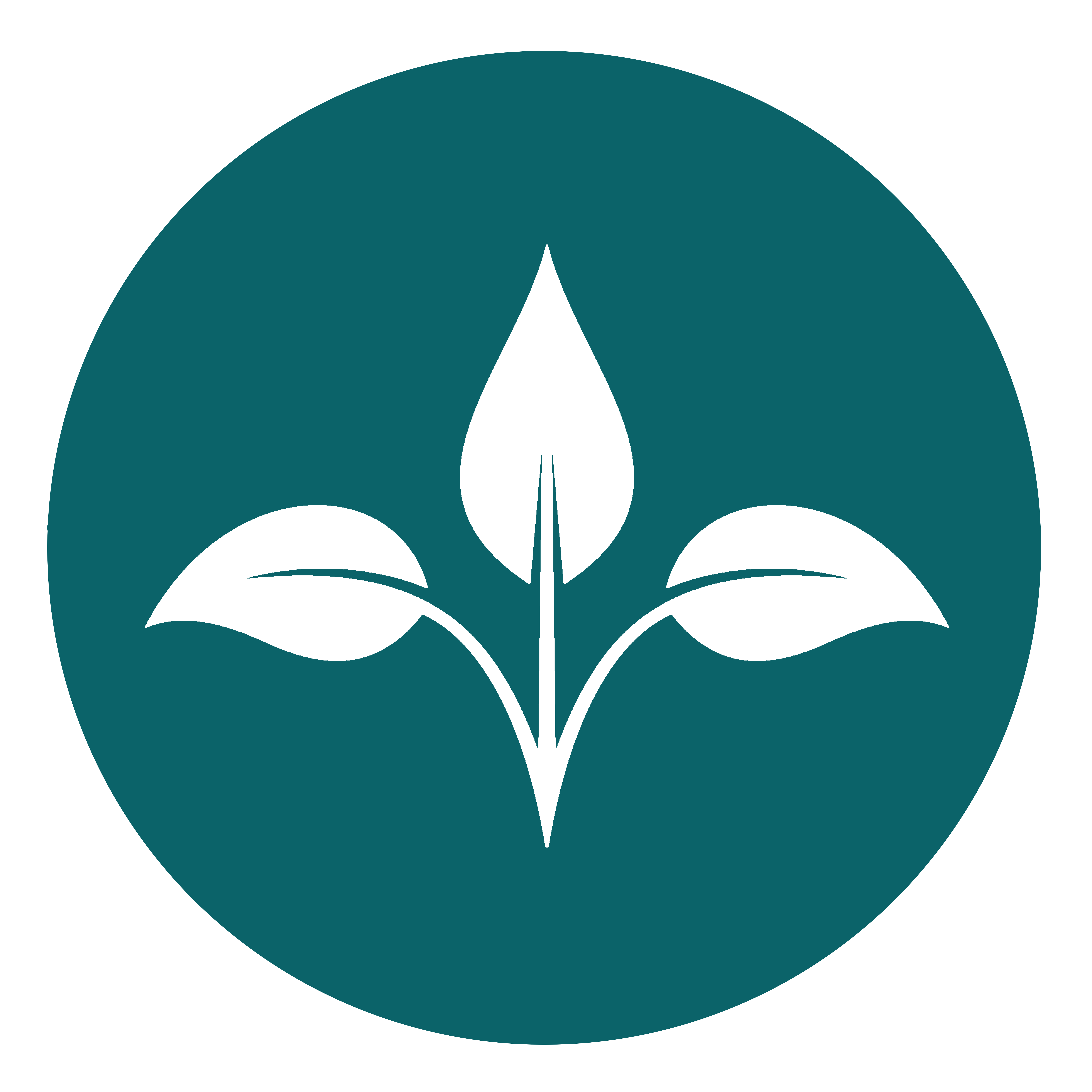 graphic: Bauman Wellness logo