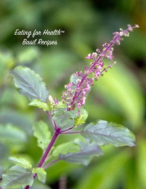 image: Weathering the Storms of Change Basil Recipes