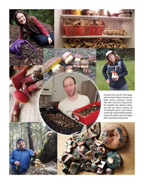 image: The Mushroom Hunter's Kitchen Chapter Opener Collage