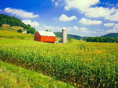 Wisconsin farm on a warm summer day.