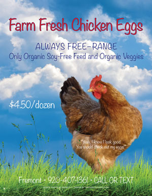 image: Farm Fresh Chicken Eggs Spring 2022 Flyer #2