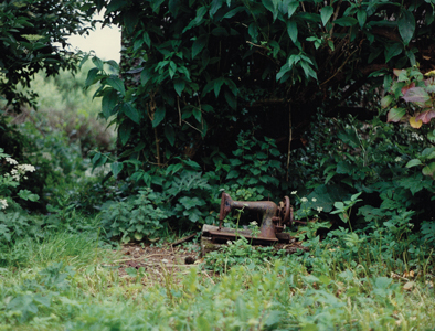 Elemental Ireland: Earth, Air, Fire, & Water Forty Shades of Green and a Sewing Machine