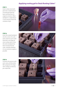 image: Cultivating Wisdom: How To Make Cannabis Cuttings Applying Rooting Gel