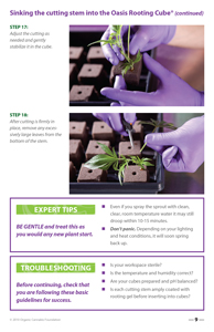 image: Cultivating Wisdom: How To Make Cannabis Cuttings Sinking the Cutting Stem