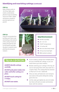 image: Cultivating Wisdom: How To Make Cannabis Cuttings Identifying and Nourishing Cuttings