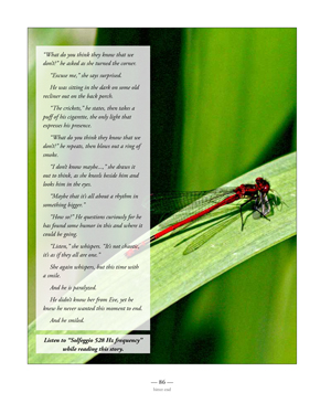 image: Synchronistic, The Book — The Dragonfly