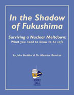 In the Shadow of Fukushima