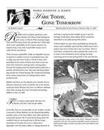 Make Habitat a Habit: Hare Today, Gone Tomorrow page one